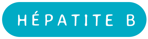 Focus sur l'Hépatite B